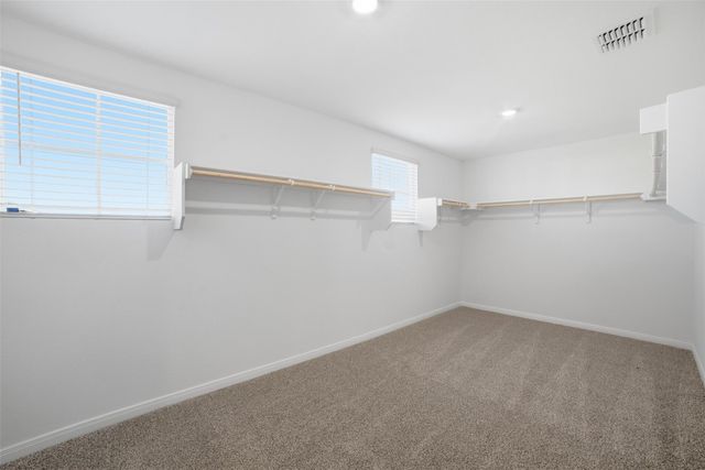 246 Sheanandoah DR, Kyle, TX 78640