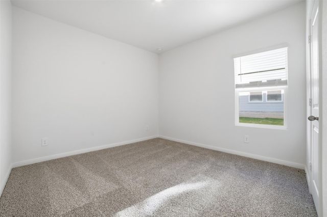 246 Sheanandoah DR, Kyle, TX 78640