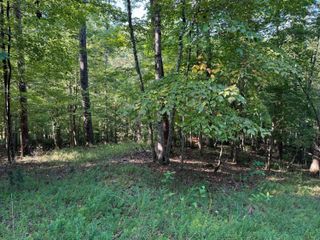 2 Cedar Bluff LN, Hardy, VA 24101