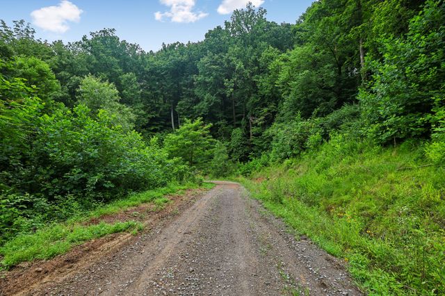 1196 Lula Ln, Franklin, TN 37064
