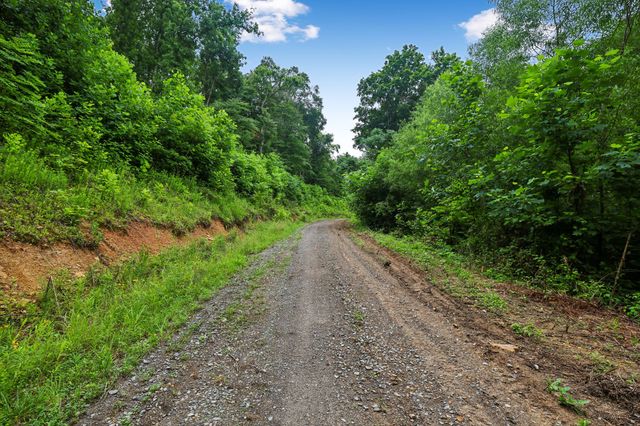 1196 Lula Ln, Franklin, TN 37064
