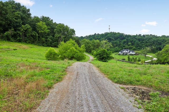 1196 Lula Ln, Franklin, TN 37064