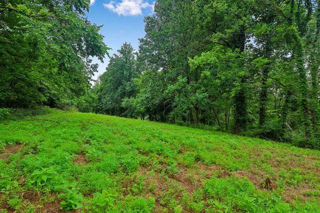 1196 Lula Ln, Franklin, TN 37064