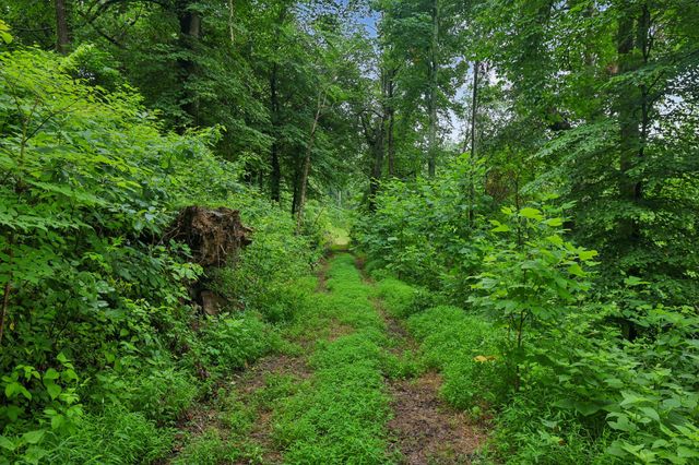 1196 Lula Ln, Franklin, TN 37064