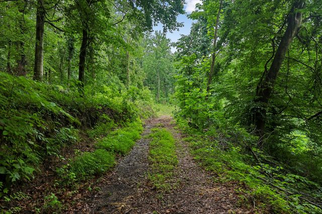 1196 Lula Ln, Franklin, TN 37064