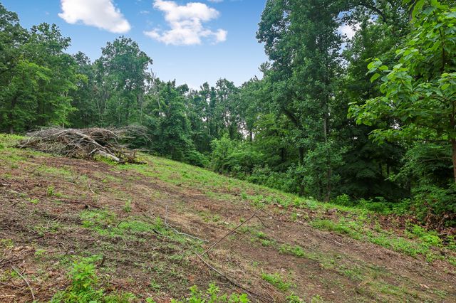 1196 Lula Ln, Franklin, TN 37064