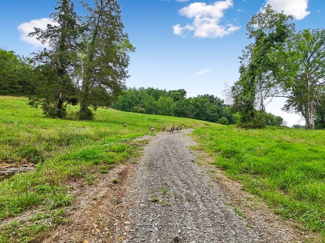1196 Lula Ln, Franklin, TN 37064