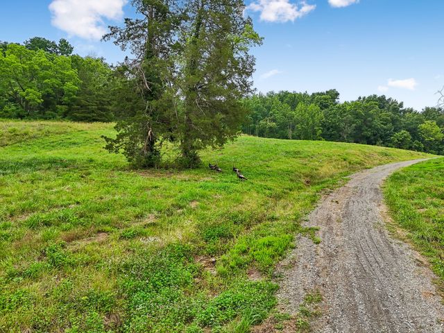 1196 Lula Ln, Franklin, TN 37064