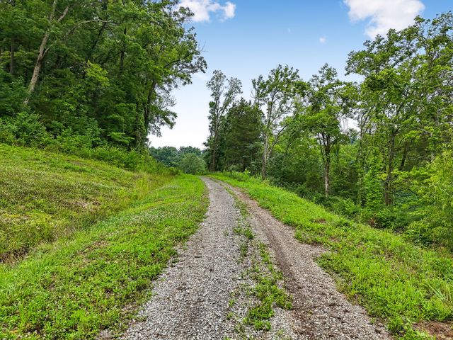 1196 Lula Ln, Franklin, TN 37064