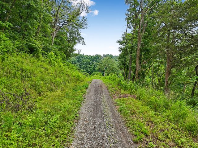1196 Lula Ln, Franklin, TN 37064