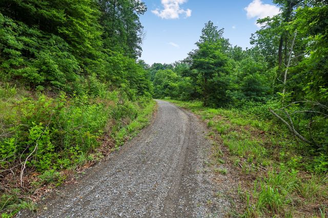 1196 Lula Ln, Franklin, TN 37064