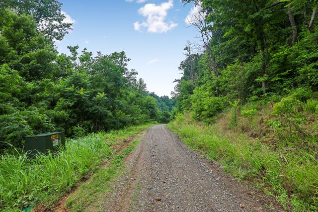 1196 Lula Ln, Franklin, TN 37064