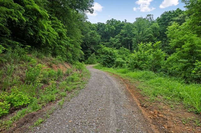 1196 Lula Ln, Franklin, TN 37064