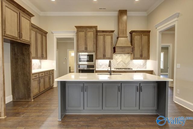12428 Narayan Street, Madison, AL 35756