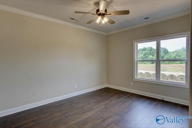 12428 Narayan Street, Madison, AL 35756