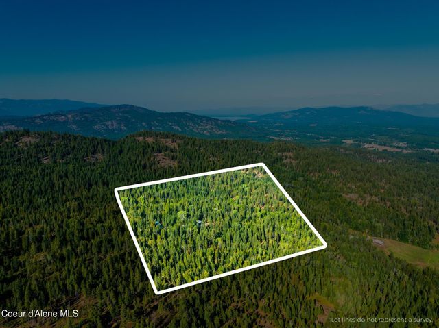 299 OAK TERRACE CREEK, Cocolalla, ID 83813