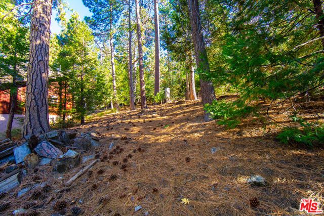 25270 Nestwa Trail, Idyllwild, CA 92549