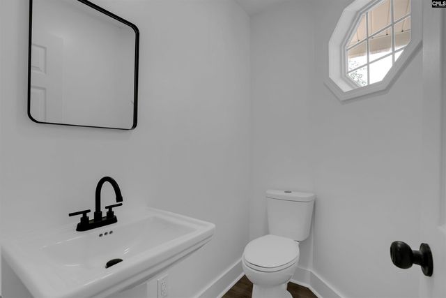 196 Bill Williamson Court, Lexington, SC 29073