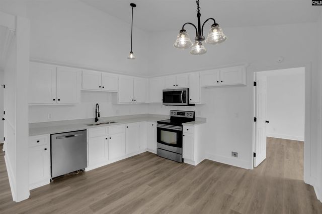 196 Bill Williamson Court, Lexington, SC 29073