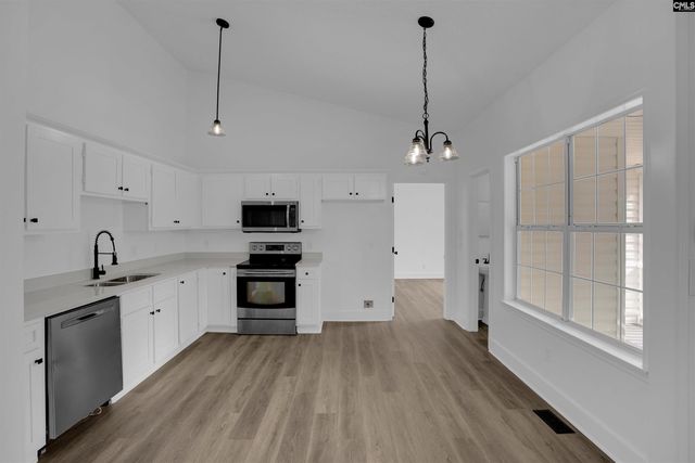 196 Bill Williamson Court, Lexington, SC 29073