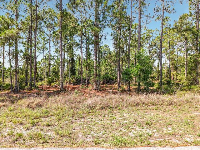 722 MANUEL STREET E, Lehigh Acres, FL 33974