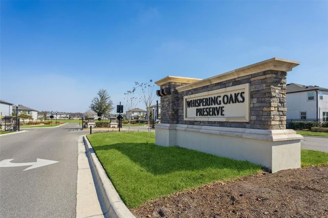 33287 SYCAMORE LEAF DRIVE, Wesley Chapel, FL 33545