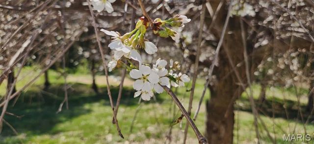 3885 Dutch Hollow Lane, Wildwood, MO 63069