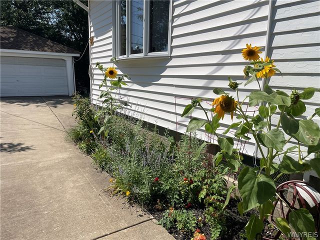 504 Capen Boulevard, Amherst, NY 14226