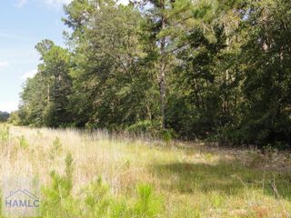 Parcel 7 Tibet Highway, Ludowici, GA 31316