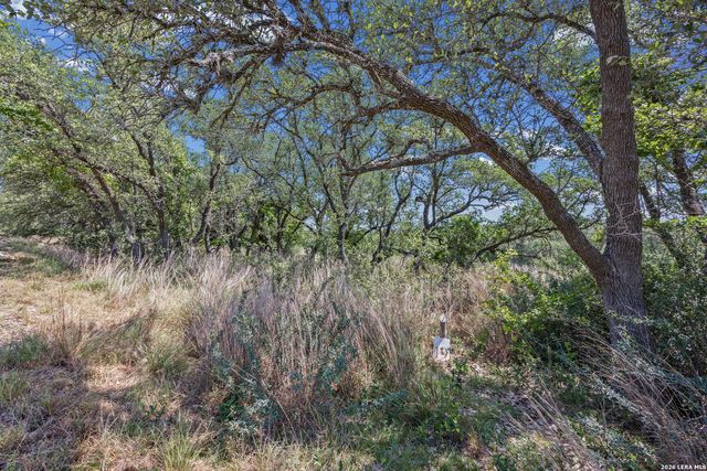 1364 N WALNUT SPRINGS RD, Johnson City, TX 78636
