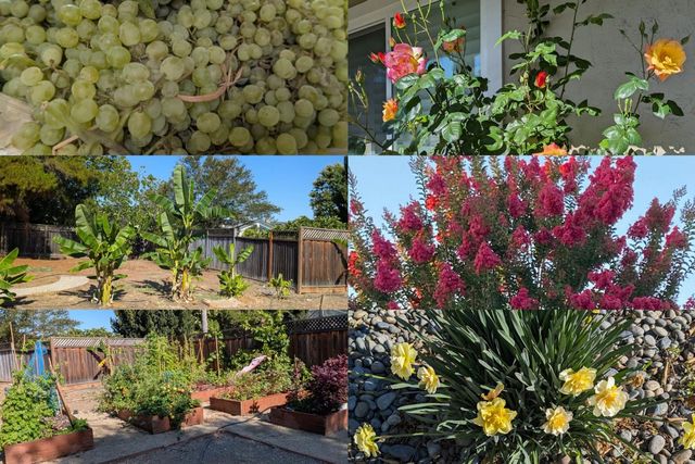 450 Stratford Park Court, San Jose, CA 95136