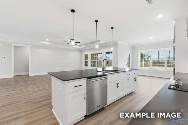 110 Bella Kate Drive, Meridianville, AL 35759