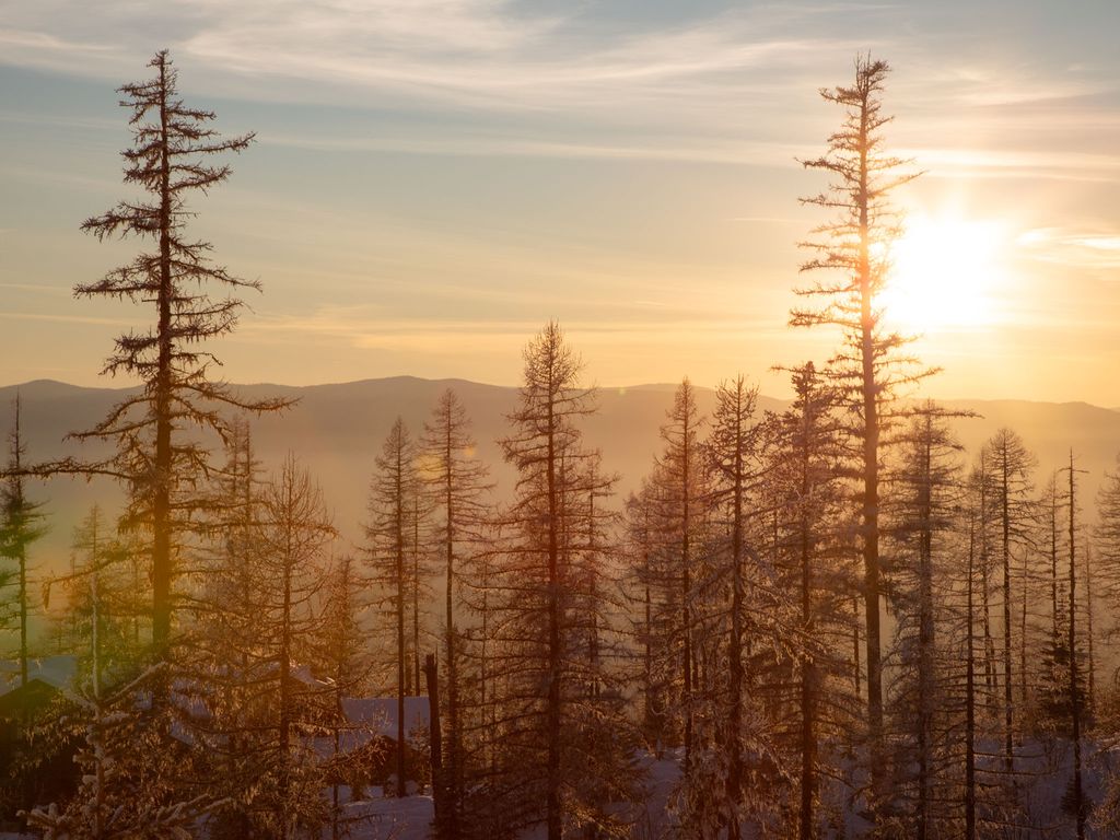 299 Elk Highlands Drive, Whitefish, MT 59937 photo 25