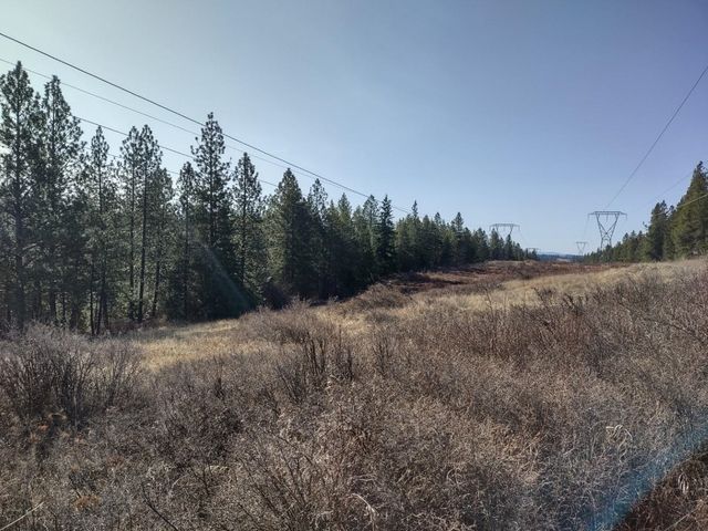 xx Waldron Ln, Elk, WA 99009