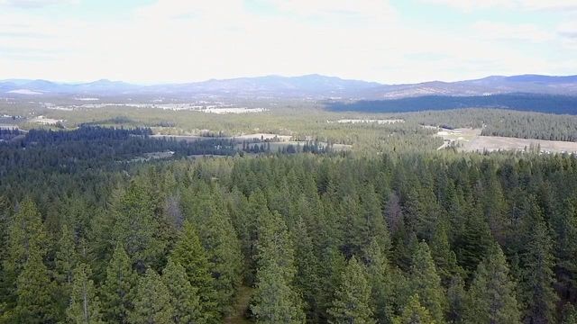 xx Waldron Ln, Elk, WA 99009