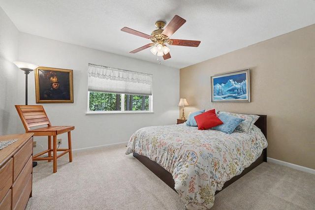 12850 Burnt Cedar Ln, Pine Grove, CA 95665