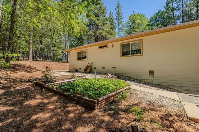 12850 Burnt Cedar Ln, Pine Grove, CA 95665