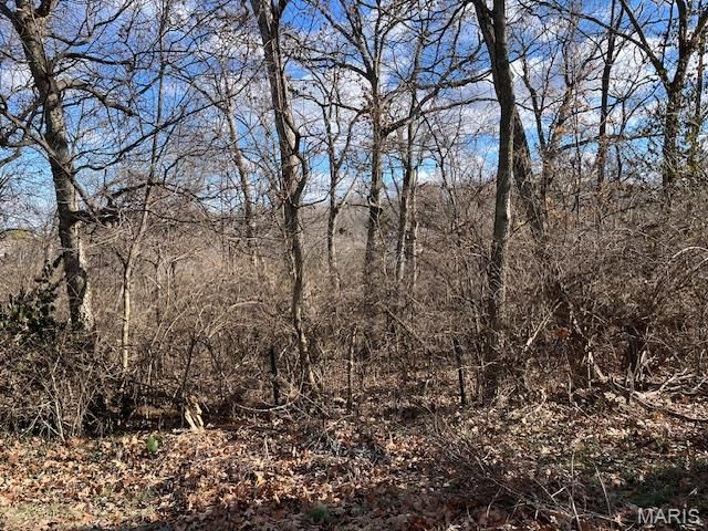 907 Oak Drive, Fenton, MO 63026