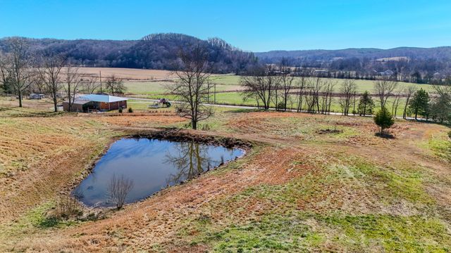 7279 Pinhook Pike, Collinwood, TN 38450