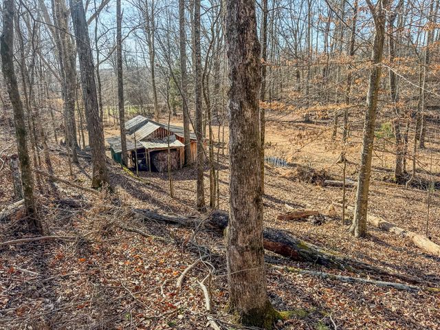 7279 Pinhook Pike, Collinwood, TN 38450