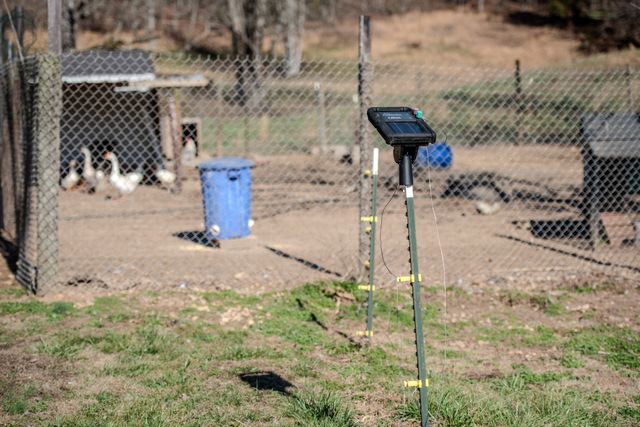 7279 Pinhook Pike, Collinwood, TN 38450