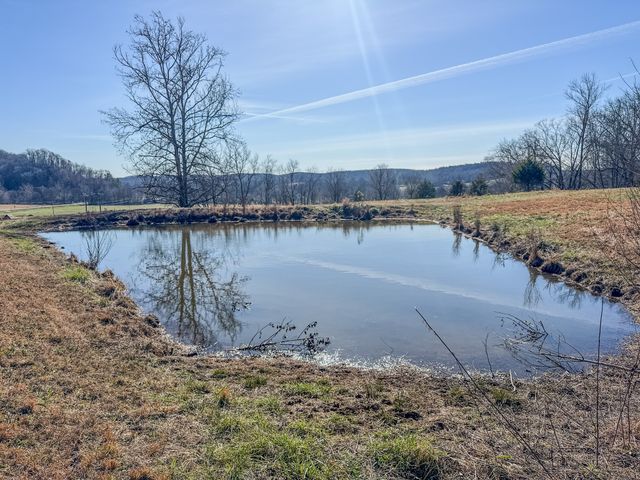 7279 Pinhook Pike, Collinwood, TN 38450