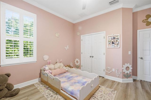 19739 PRINCE BENJAMIN DRIVE, Lutz, FL 33549