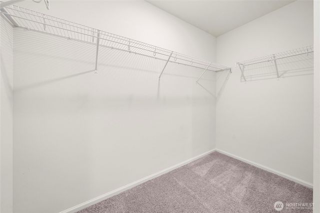 9902 Ferns Loop SE, Yelm, WA 98597