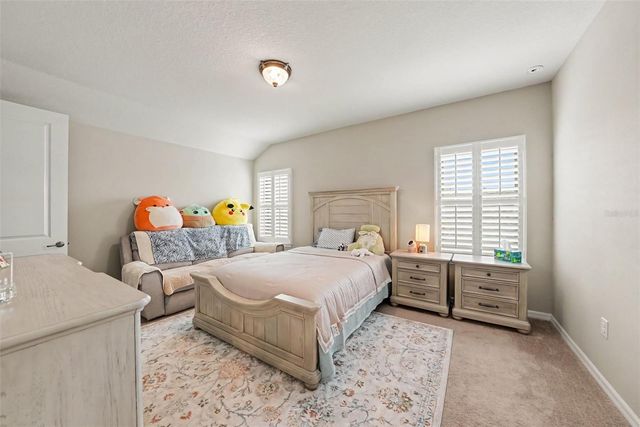 12890 PAYTON STREET, Odessa, FL 33556