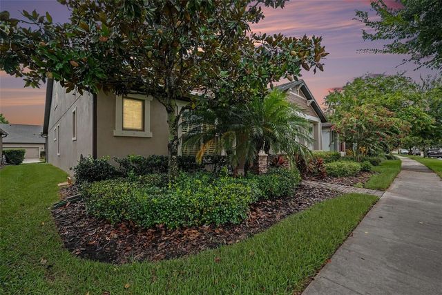 12890 PAYTON STREET, Odessa, FL 33556