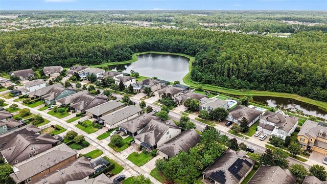 12890 PAYTON STREET, Odessa, FL 33556