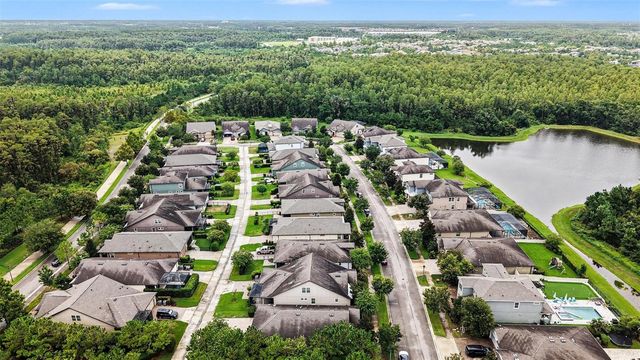 12890 PAYTON STREET, Odessa, FL 33556