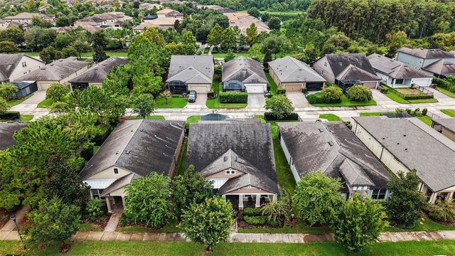 12890 PAYTON STREET, Odessa, FL 33556