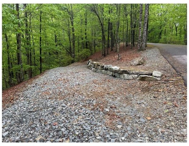 39 Black Bear Ridge Trail 20, Zirconia, NC 28790